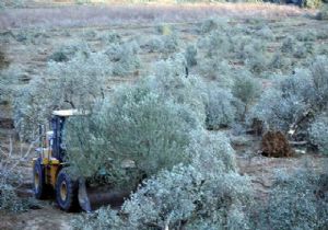 Danıştay'dan yürütmeyi durdurma kararı çıktı
