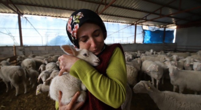 Besicilik alanında Türkiye'de bir ilk