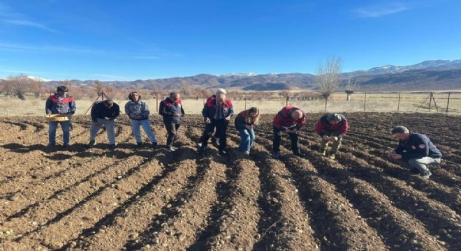 DAP BKİ'den bitkisel üretime destek