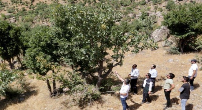 DAP BKİ destekledi Çatak'ın geleceği değişti