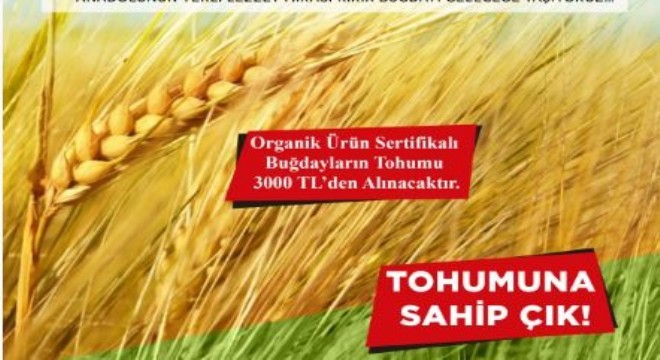 DATÜBB'den kırik buğday üretimi çağrısı