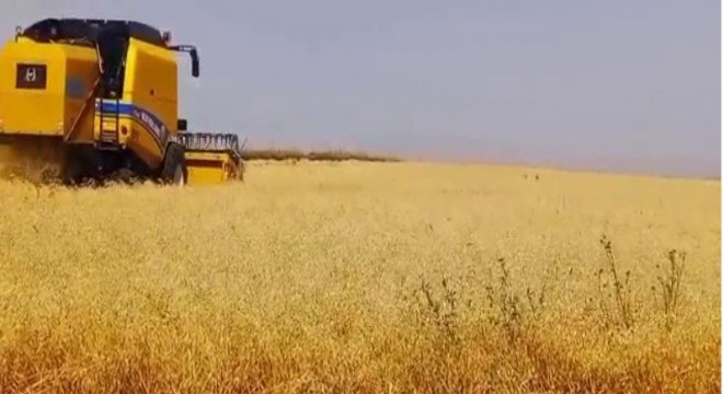 Doğu'da Tarlalardan Sofralara Uzanan Emek