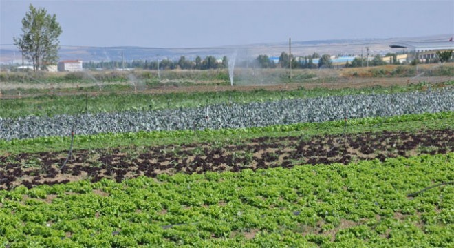 Erzurum tarımsal kredide fark attı