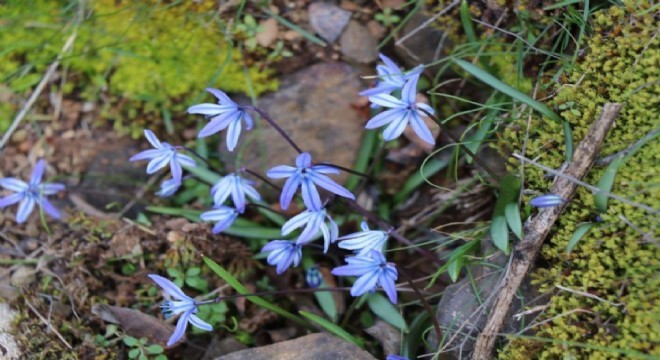 Erzurum'un bir yanı kış bir yanı bahar
