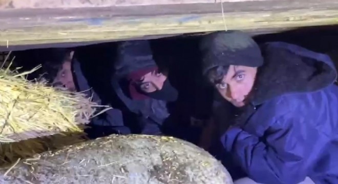 Saman balyaları arasından kaçak göçmen çıktı: 1 tutuklama