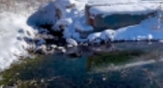 Soğuk hayata mola verdirdi